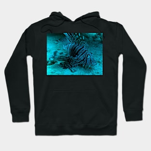 lionfish Hoodie